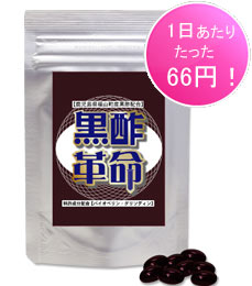 1日当たり66円で安い