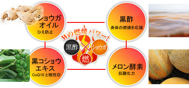 4つの燃焼パワー